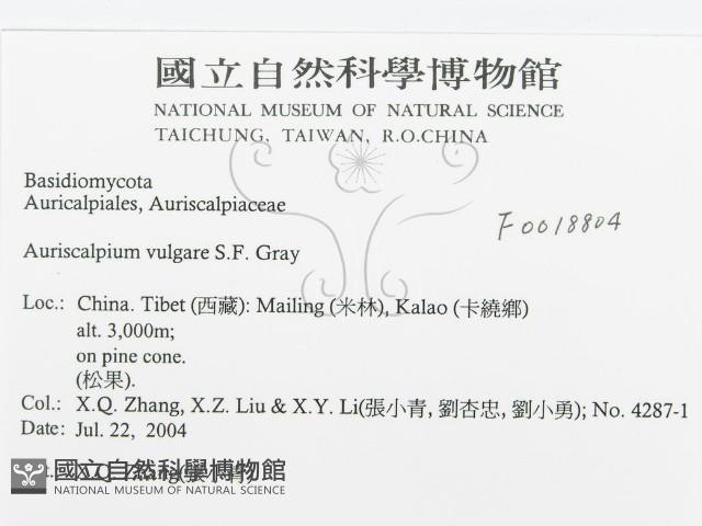 登錄號:F0018804藏品圖，第3張