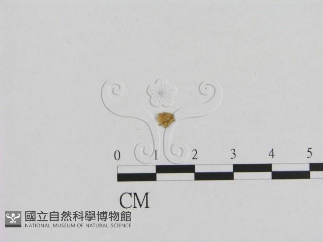 登錄號:F0001804藏品圖，第1張