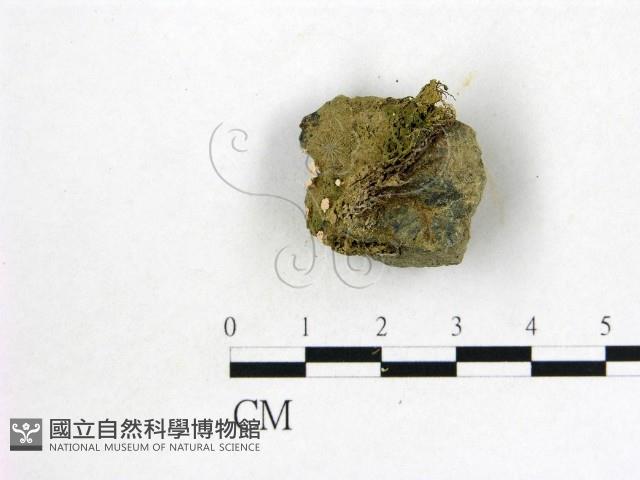 登錄號:F0009804藏品圖，第1張
