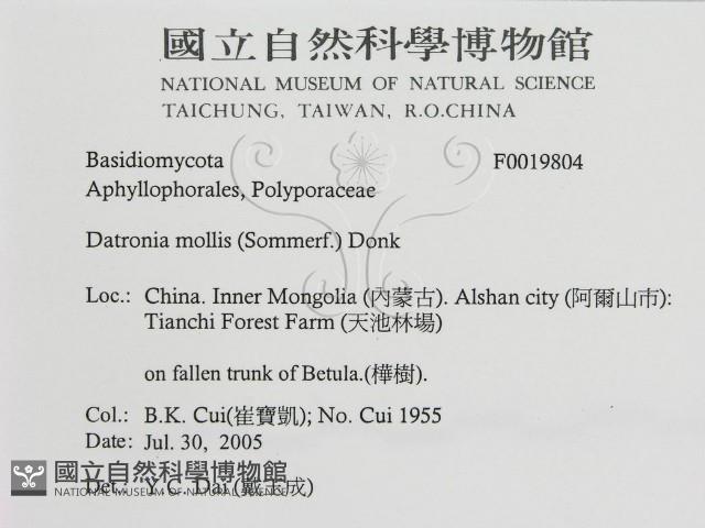 登錄號:F0019804藏品圖，第3張