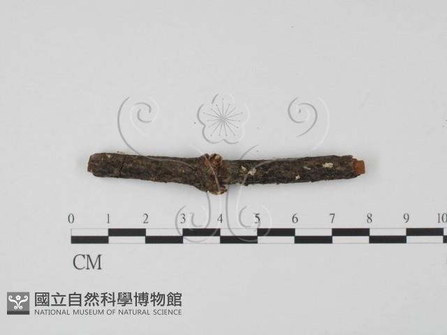 登錄號:F0013804藏品圖，第1張