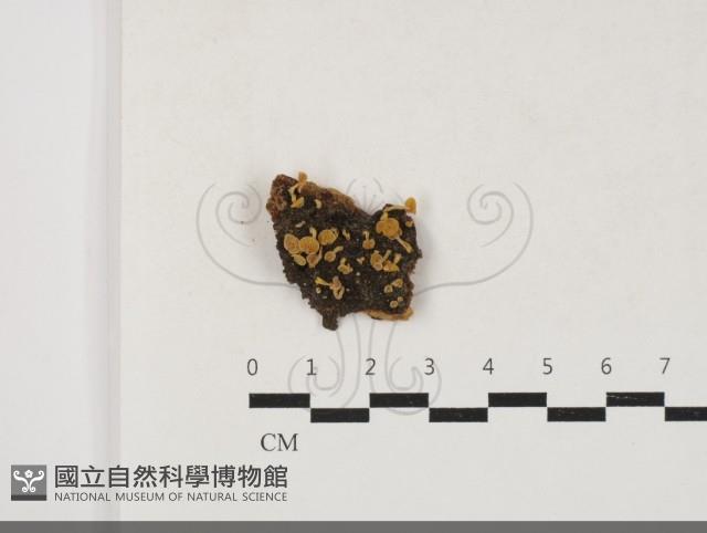 登錄號:F0033804藏品圖，第1張