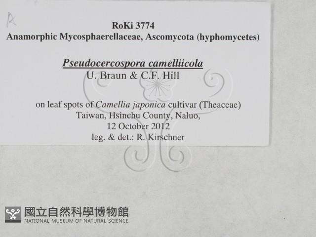 登錄號:F0027904藏品圖，第3張