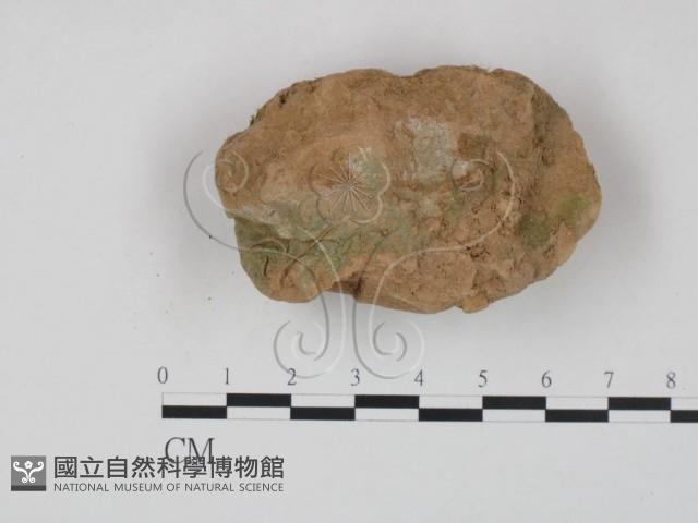 登錄號:F0007904藏品圖，第1張