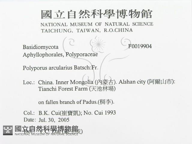 登錄號:F0019904藏品圖，第3張
