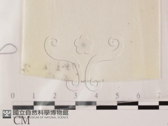 登錄號:F0000604藏品圖，第1張