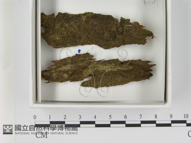登錄號:F0021604藏品圖，第1張