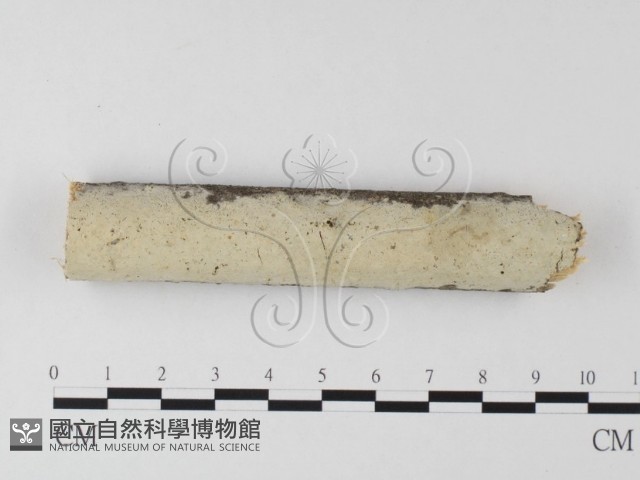 登錄號:F0025604藏品圖，第1張