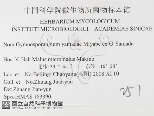 登錄號:F0026404藏品圖，第3張