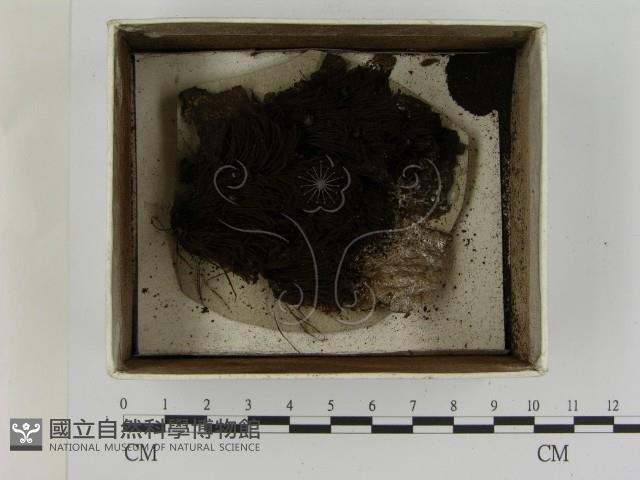 登錄號:F0021404藏品圖，第1張
