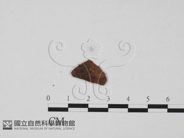 登錄號:F0011704藏品圖，第1張