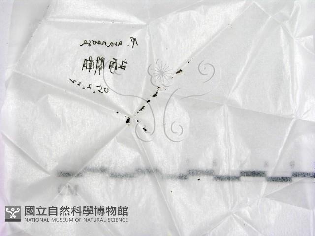 登錄號:F0019704藏品圖，第1張