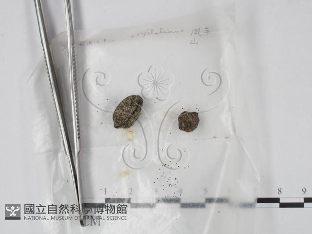登錄號:F0000504藏品圖，第1張