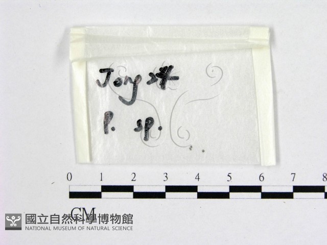 登錄號:F0016504藏品圖，第1張