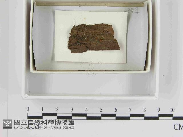 登錄號:F0021504藏品圖，第1張