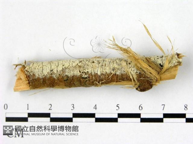 登錄號:F0022504藏品圖，第1張