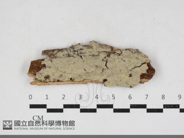 登錄號:F0034104藏品圖，第1張