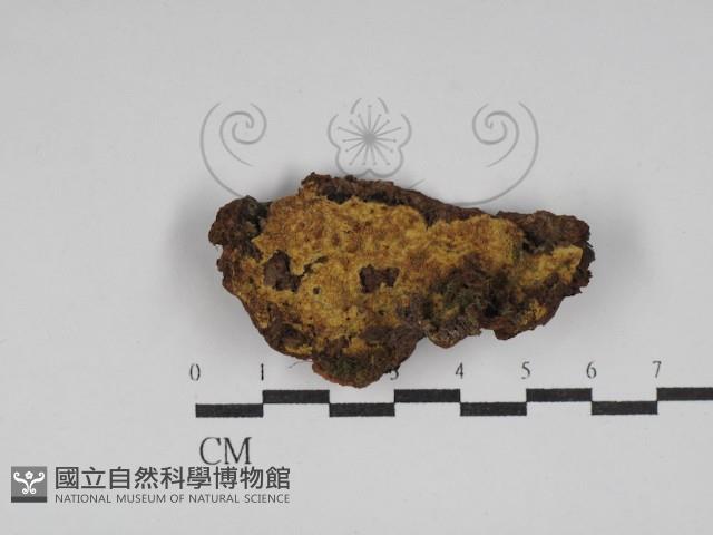 登錄號:F0030004藏品圖，第1張