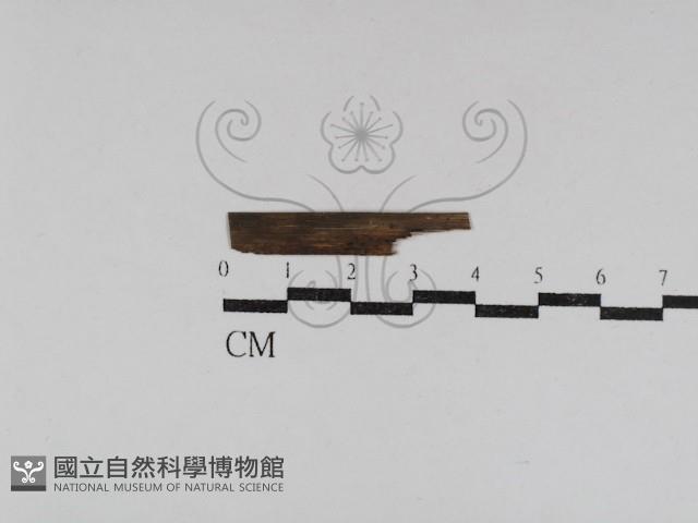 登錄號:F0031004藏品圖，第1張