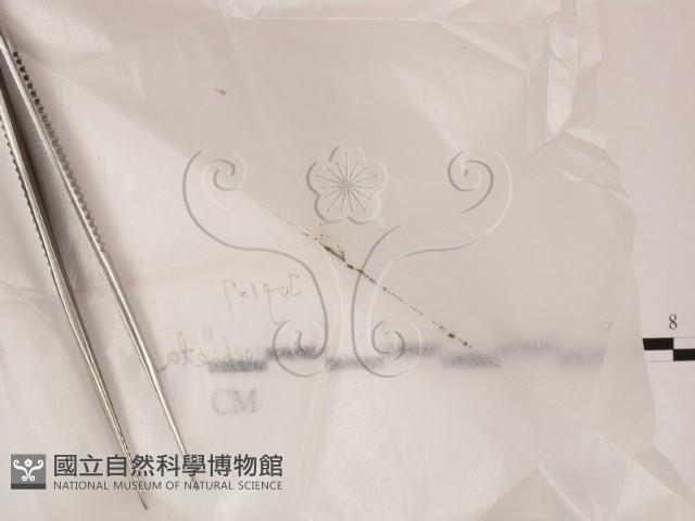 登錄號:F0022004藏品圖，第1張