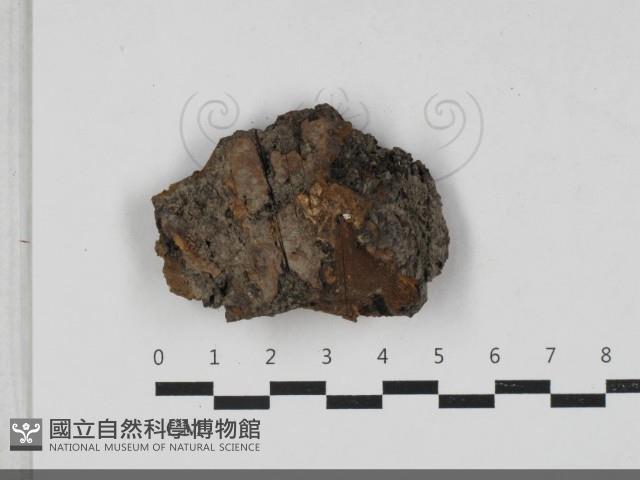 登錄號:F0033304藏品圖，第1張