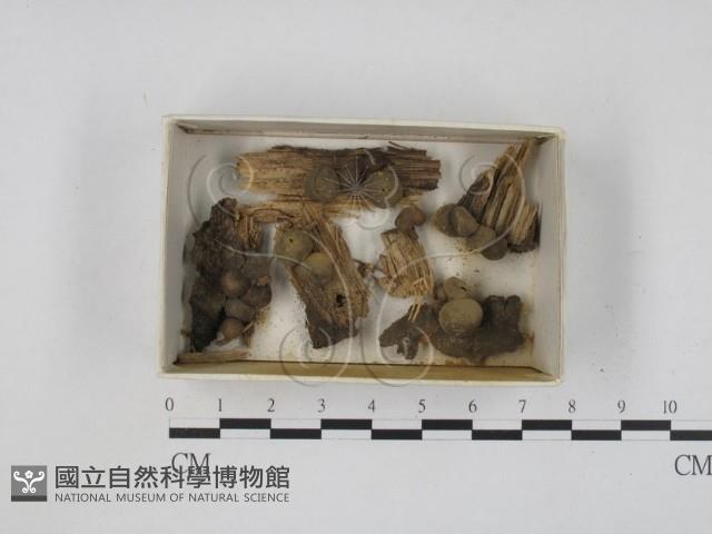 登錄號:F0021214藏品圖，第1張
