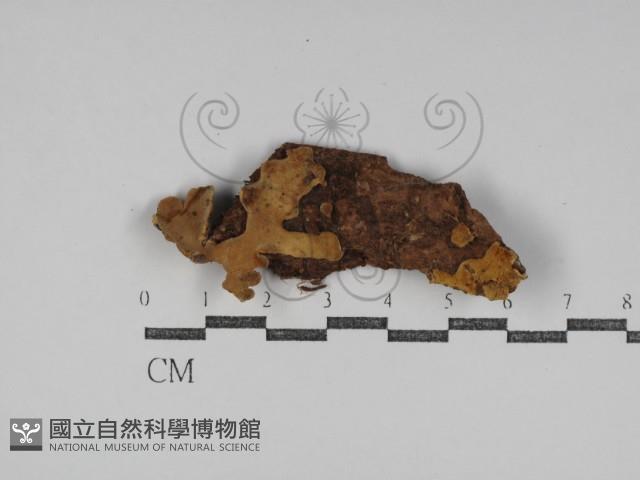 登錄號:F0031214藏品圖，第1張