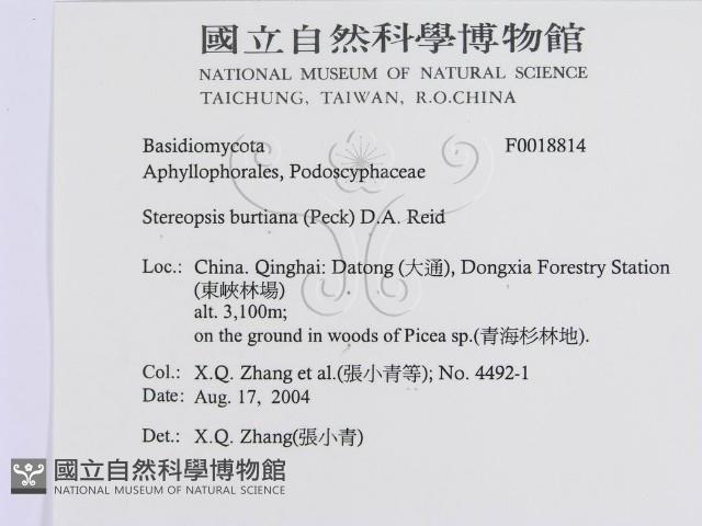 登錄號:F0018814藏品圖，第3張