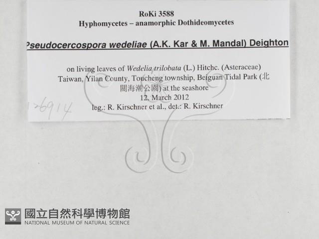 登錄號:F0026914藏品圖，第3張