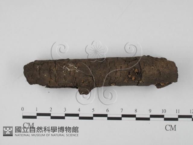 登錄號:F0001914藏品圖，第1張