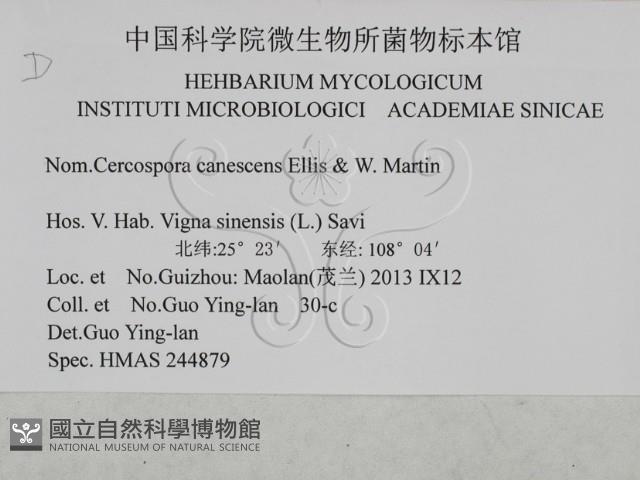 登錄號:F0027914藏品圖，第3張