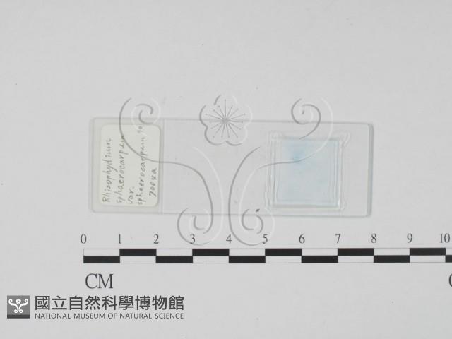 登錄號:F0017914藏品圖，第1張