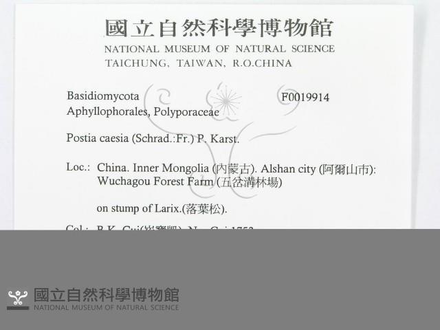 登錄號:F0019914藏品圖，第3張