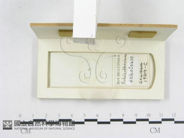 登錄號:F0010614藏品圖，第1張