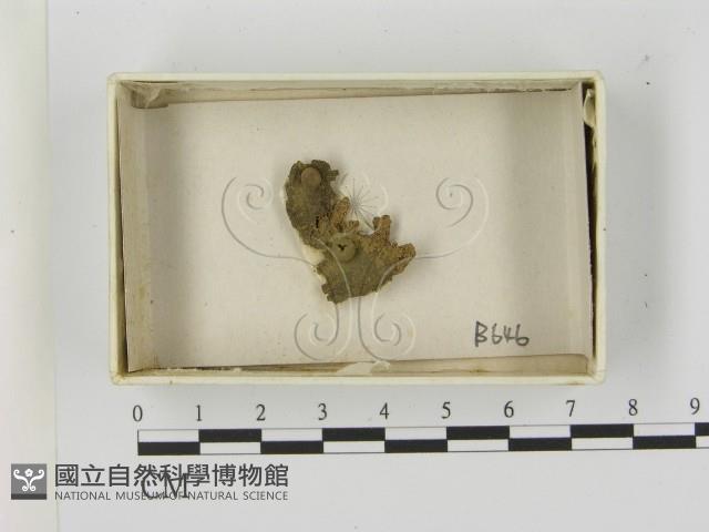 登錄號:F0021614藏品圖，第1張