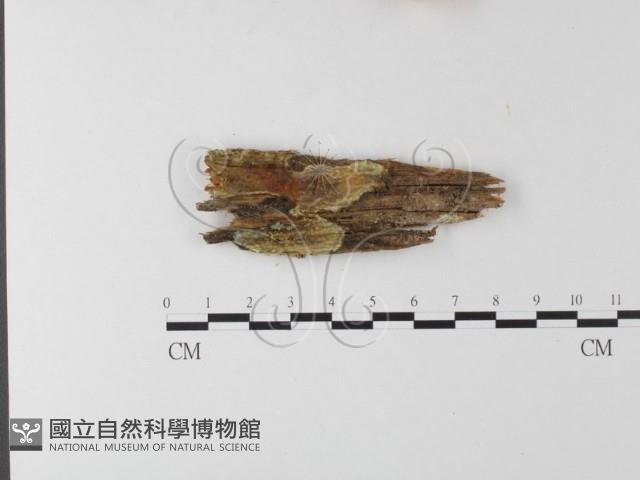 Accession Number:F0009614 Collection Image, Figure 1, Total 2 Figures