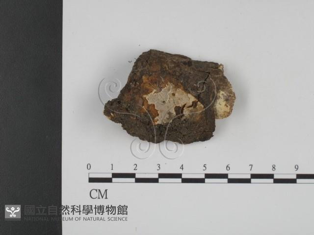 登錄號:F0010414藏品圖，第1張