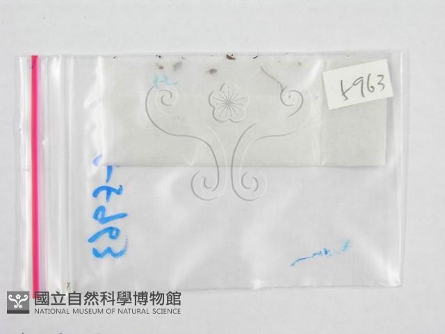 登錄號:F0016414藏品圖，第1張