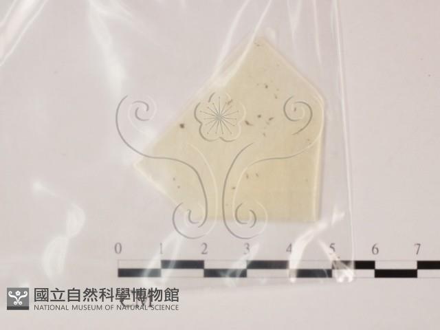 登錄號:F0007414藏品圖，第1張