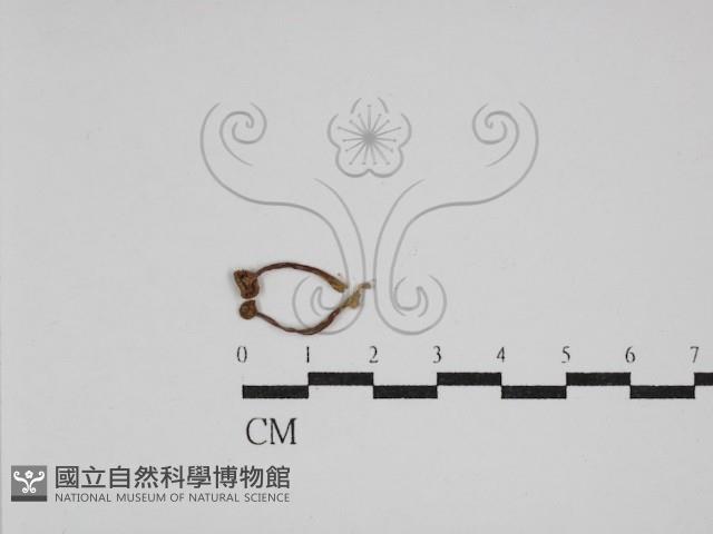 登錄號:F0005414藏品圖，第1張