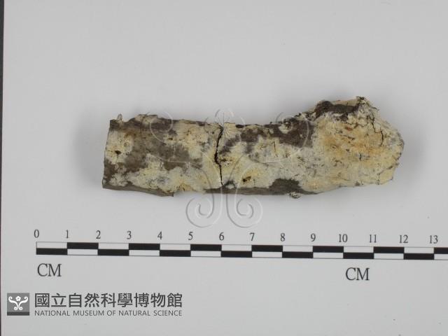 館號:F0015414藏品圖，第1張