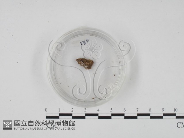 登錄號:F0003414藏品圖，第1張