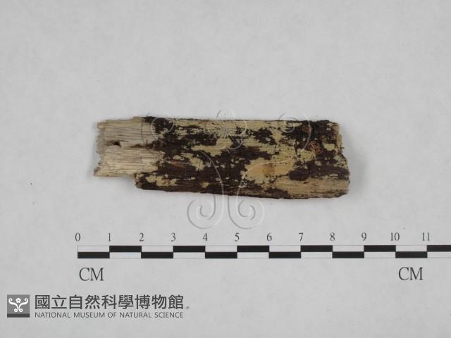 登錄號:F0008714藏品圖，第1張