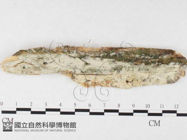 登錄號:F0026714藏品圖，第1張