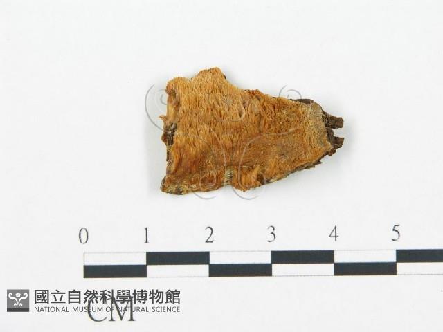 登錄號:F0006714藏品圖，第1張