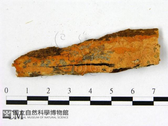 登錄號:F0016714藏品圖，第1張