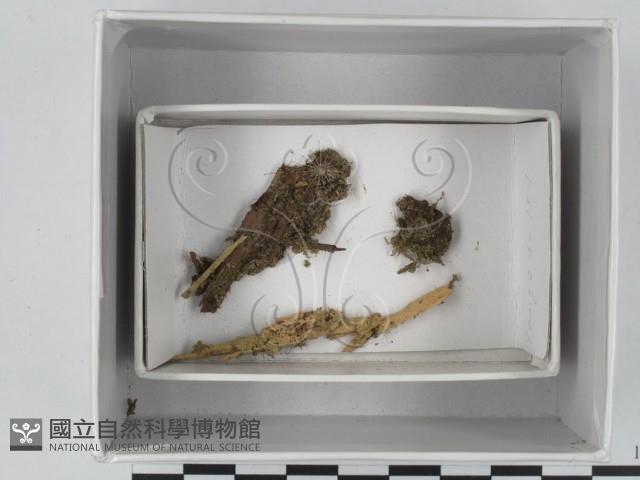登錄號:F0018514藏品圖，第1張