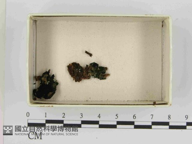 登錄號:F0021514藏品圖，第3張