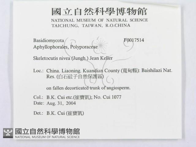 登錄號:F0017514藏品圖，第3張