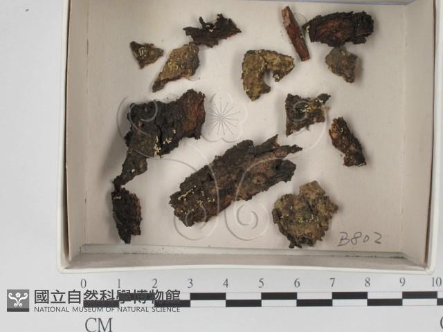 登錄號:F0021114藏品圖，第1張